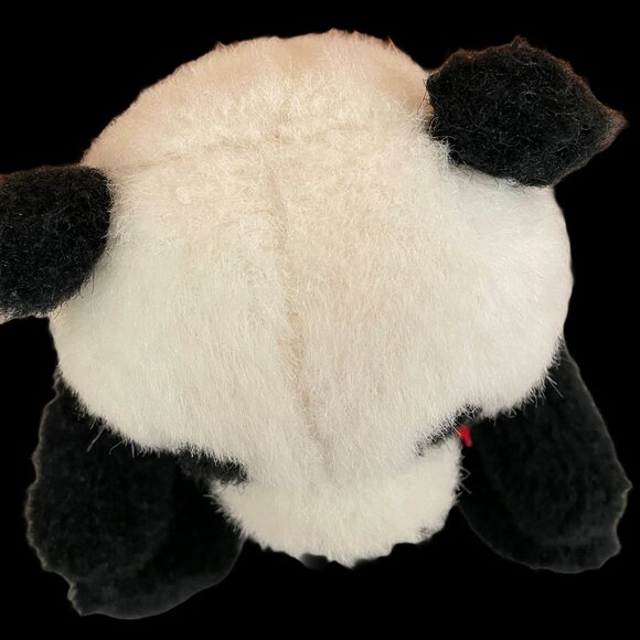 Professor Panda - Picture 2 of 2